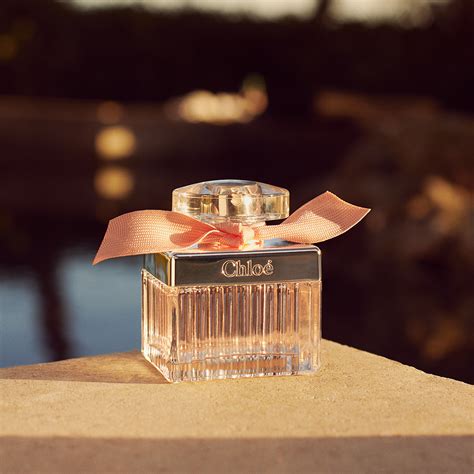 chloe rose tangerine douglas|tangerine cologne.